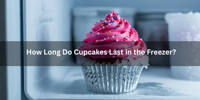 Image illustrating the shelf life of cupcakes in the freezer, highlighting storage tips and duration for freshness. -Can You Freeze Cupcakes With Frosting
