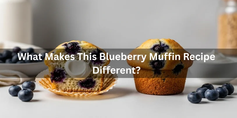 Blueberry muffin made with sour cream showing a moist crumb compared to a standard blueberry muffin, realistic food photography explaining what makes this recipe different.-blueberry muffin recipe with sour cream 