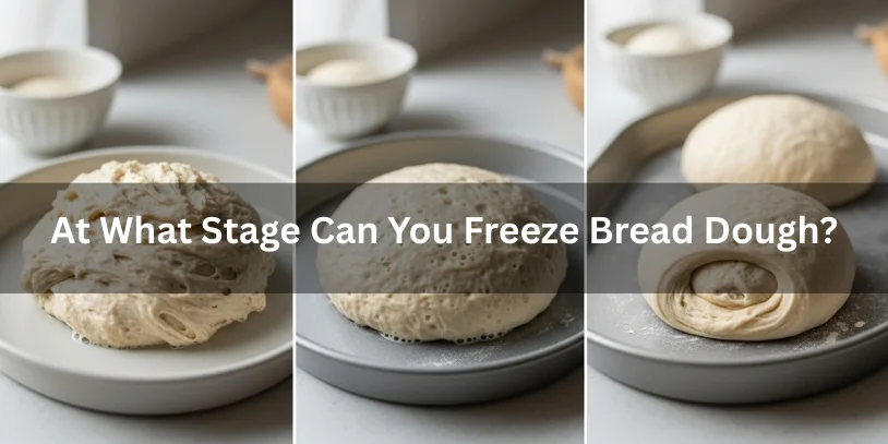 Can You Freeze Bread Dough? Complete Guide for Home & Professional Bakers In 2026 Fresh, frozen, and thawed bread dough shown with yeast granules, realistic food photography explaining whether freezing can kill yeast.-can you freeze bread dough