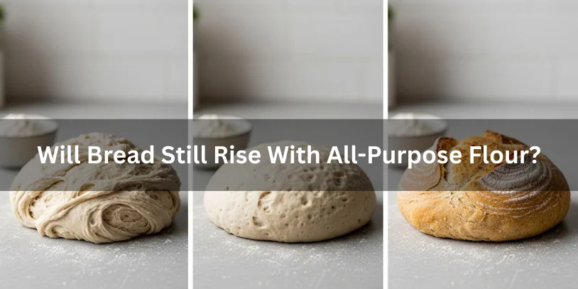 Bread dough made with all-purpose flour shown rising and baked into a loaf, realistic food photography explaining that bread can still rise with all-purpose flour.-can you use all purpose flour instead of bread flour 