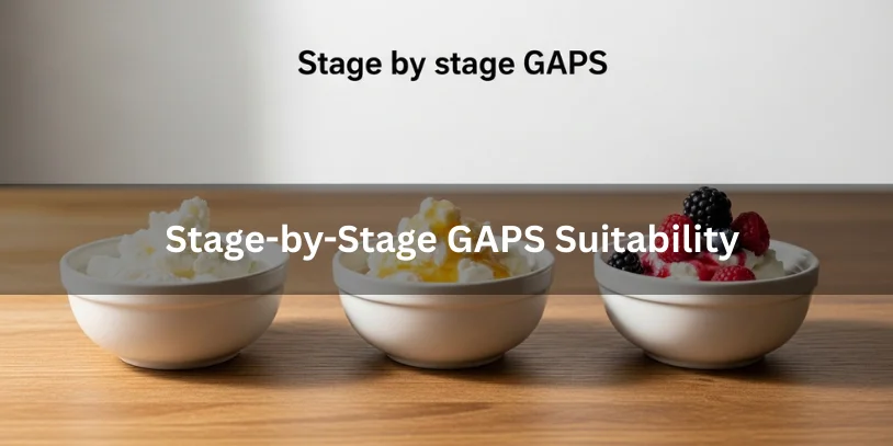 GAPS Cream Cheese Dessert Recipe: Legal, Gut-Friendly & Stage-Safe Guide In 2026 Stage-by-stage GAPS cream cheese dessert progression, showing how the dessert fits different phases of the GAPS diet.-gaps cream cheese dessert recipe