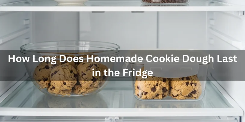 Homemade cookie dough stored in the refrigerator in a glass bowl and airtight container, showing raw cookie dough with chocolate chips under soft natural lighting.-how long does homemade cookie dough last in the fridge