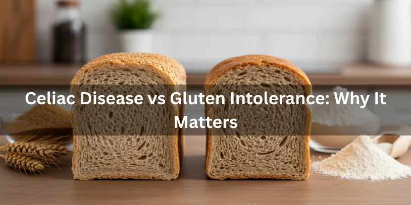 Is Lebanese Bread Gluten-Free? Complete Safety Guide for Celiac & Gluten Sensitivity 2026 Wheat-based bread and gluten-free bread displayed separately, illustrating the difference between celiac disease and gluten intolerance.-is lebanese bread gluten free