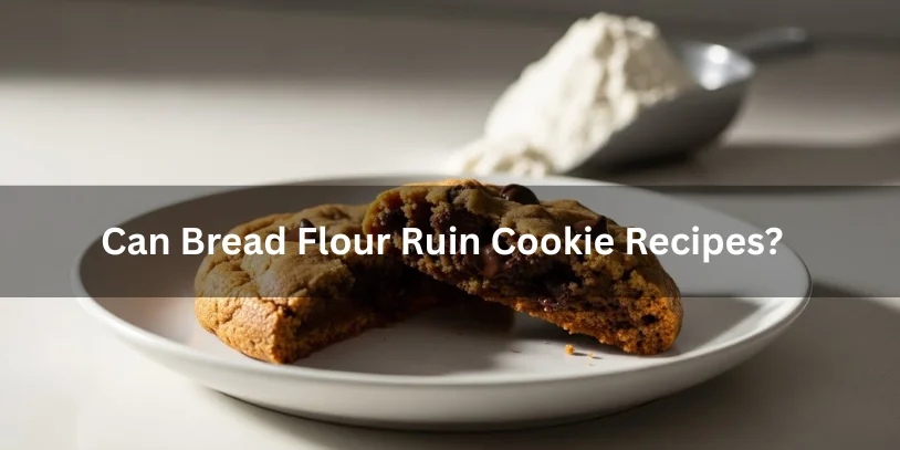 Can Bread Flour Be Used for Cookies? 20 Proven Answers for Perfect Cookies A broken chocolate chip cookie on a plate showing its dense, chewy texture, with a scoop of bread flour in the background, minimalistic and realistic food photography style illustrating potential cookie recipe issues with bread flour. -can bread flour be used for cookies