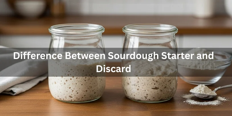Active sourdough starter and sourdough discard in glass jars side by side, showing the difference in bubbling and texture.-difference between sourdough starter and discard