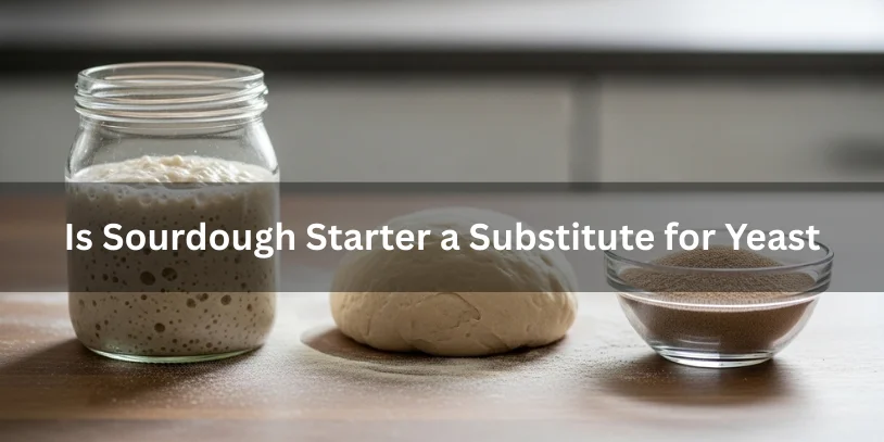 Is Sourdough Starter a Substitute for Yeast? A Complete Best Baker’s Guide In 2026 Sourdough starter in a glass jar beside dry yeast and a dough ball on a wooden countertop, showing whether sourdough starter can substitute for yeast in baking.-is sourdough starter a substitute for yeast