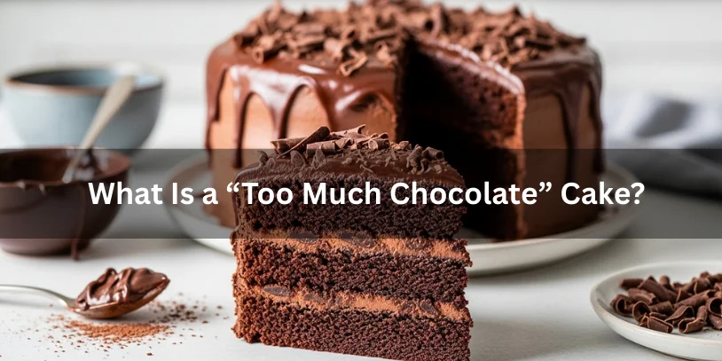 Rich “Too Much Chocolate” cake with thick ganache and a sliced piece showing an intensely dark, moist chocolate crumb.-too much chocolate cake recipe 