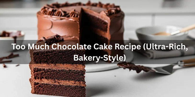 Ultra-rich, bakery-style chocolate cake with glossy ganache and a sliced piece showing multiple layers of dense, fudgy chocolate interior.-too much chocolate cake recipe 
