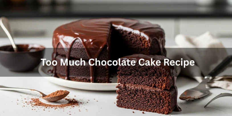 Ultra-rich chocolate cake with glossy ganache and a sliced piece showing a dark, moist crumb.-too much chocolate cake recipe