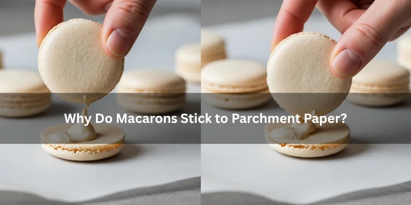Freshly baked macarons on parchment paper with one shell showing a sticky bottom, illustrating why some macarons do not release cleanly.-why do my macarons stick to the parchment paper 