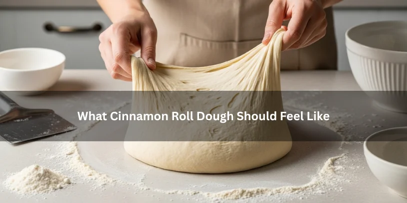 Cinnamon Roll Dough Too Sticky? How to Fix It Without Ruining Soft, Fluffy Rolls Smooth enriched cinnamon roll dough with a soft supple slightly tacky texture on a countertop, illustrating what cinnamon roll dough should feel like under soft natural lighting.-cinnamon roll dough too sticky