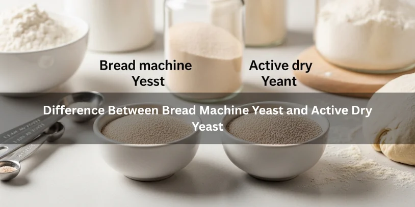 Bread machine yeast and active dry yeast in separate bowls beside baking ingredients, illustrating their texture and ingredient differences in a clean kitchen setting.-difference between bread machine yeast and active dry yeast