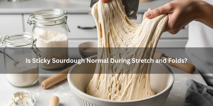 Sticky sourdough dough being gently handled with wet fingers and a bench scraper during stretch and folds on a clean kitchen countertop.-sourdough is sticky during stretch and folds 