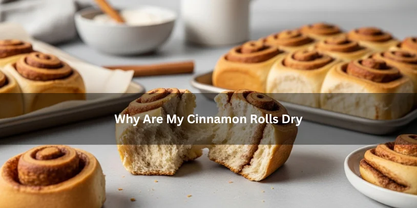 Why Are My Cinnamon Rolls Dry? Common Causes, Quick Fixes, and How to Keep Them Soft Freshly baked cinnamon rolls with a dry tight crumb and slightly overbaked edges, illustrating why cinnamon rolls turn dry under soft natural lighting.-why are my cinnamon rolls dry