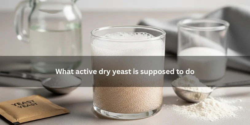 Foamy active dry yeast mixture in a small bowl with baking ingredients nearby, showing what properly activated yeast should look like under soft natural lighting.-why is my active yeast not foaming 