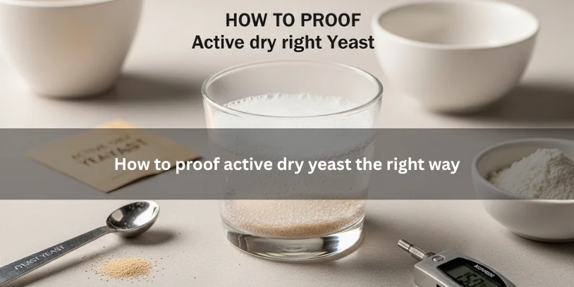 Foamy active dry yeast in a small bowl with baking tools nearby, showing how to proof active dry yeast correctly under soft natural lighting.-why is my active yeast not foaming 