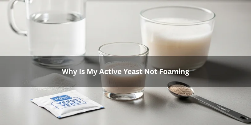 Inactive yeast mixture with little or no foam in a small bowl, illustrating why active yeast may not foam under soft natural lighting.-why is my active yeast not foaming