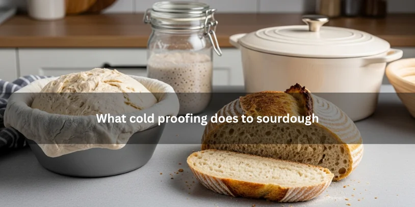 Cold-proofed sourdough dough in a banneton beside a baked loaf with controlled oven spring and developed crumb, illustrating what cold proofing does to sourdough under soft natural lighting.-why is my sourdough flat after cold proofing 