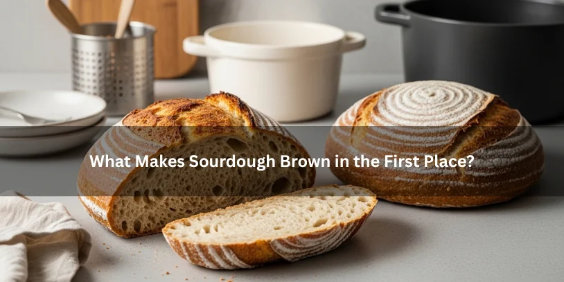 Beautifully baked sourdough loaf with a deep golden-brown crust beside baking cues like steam and a Dutch oven, illustrating what makes sourdough brown under soft natural lighting.-why is my sourdough not browning 