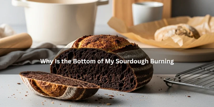 Why Is the Bottom of My Sourdough Burning? Causes, Fixes, and the Best Ways to Prevent It Freshly baked sourdough loaf with a scorched dark bottom crust beside Dutch oven and baking clues, illustrating why the bottom of sourdough burns under soft natural lighting.-why is the bottom of my sourdough burning