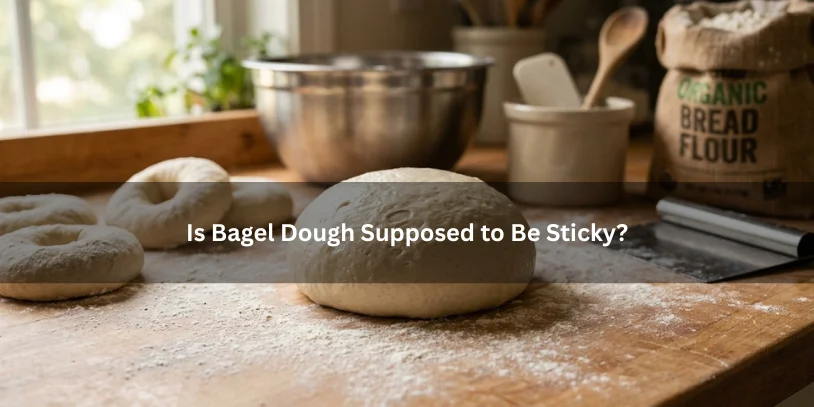 Slightly sticky bagel dough resting on a floured countertop beside shaped bagels, showing normal dough texture under soft natural lighting.-why is my bagel dough so sticky 