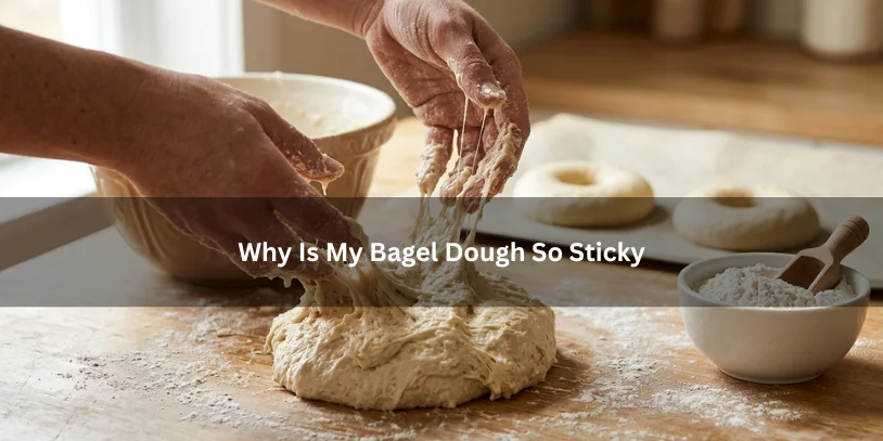 Sticky bagel dough stretching between hands on a floured countertop beside smooth shaped bagels under soft natural lighting.-why is my bagel dough so sticky