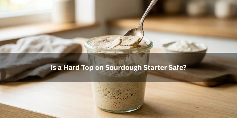 Sourdough starter with a hard dry top layer being lifted to reveal normal starter underneath, illustrating whether a hard top is safe under soft natural lighting.-why is my sourdough starter getting hard on top 